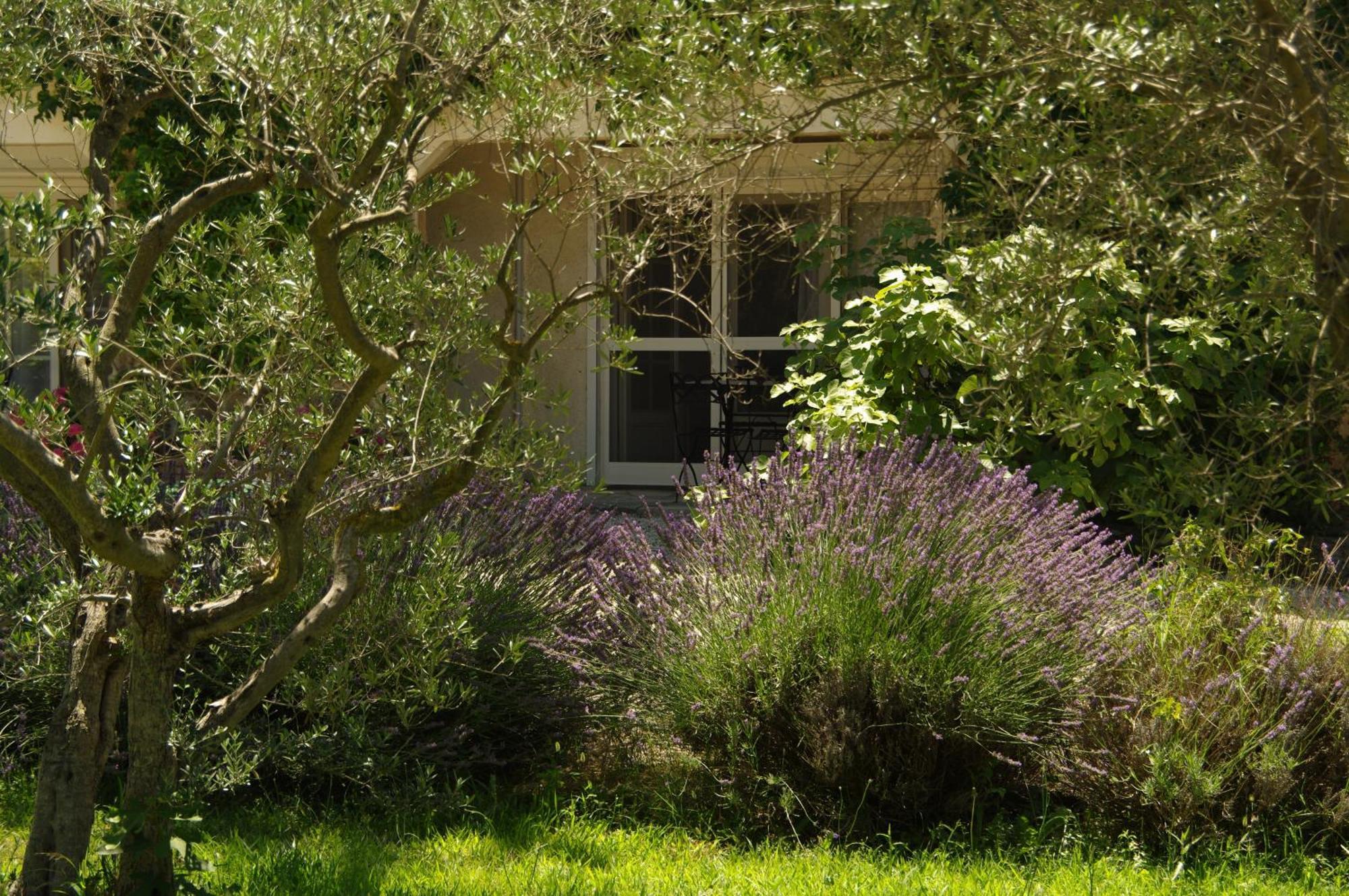 Residence Le Saint Victor Fontvieille Dış mekan fotoğraf