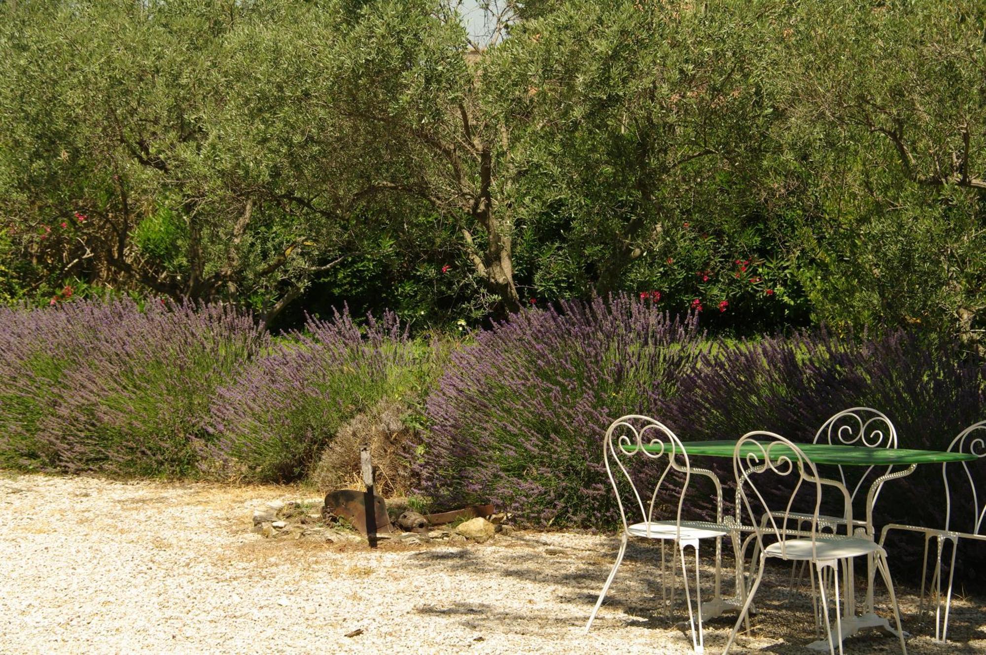 Residence Le Saint Victor Fontvieille Dış mekan fotoğraf